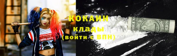 крисы Алзамай