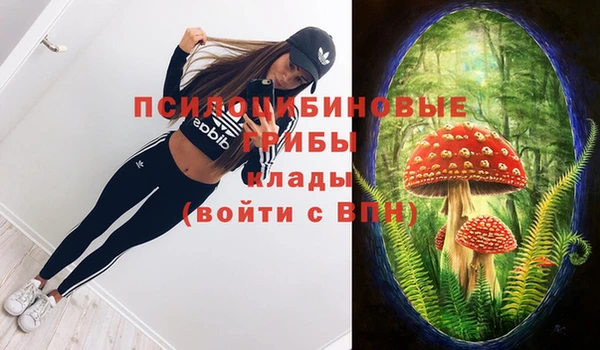 крисы Алзамай