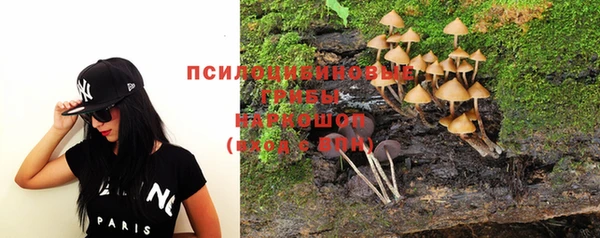 крисы Алзамай