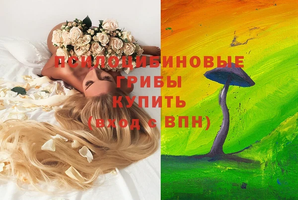 крисы Алзамай