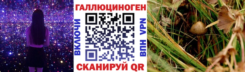 Галлюциногенные грибы GOLDEN TEACHER  Пролетарск 